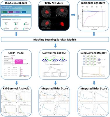 Comparison of MRI radiomics-based machine learning survival models in predicting prognosis of glioblastoma multiforme